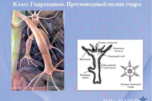 Kra48.cc Вход на сайт главная страница