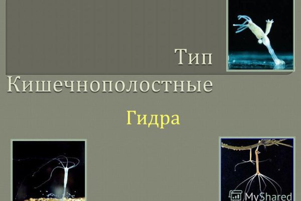 Kra32.cc Вход на сайт главная страница