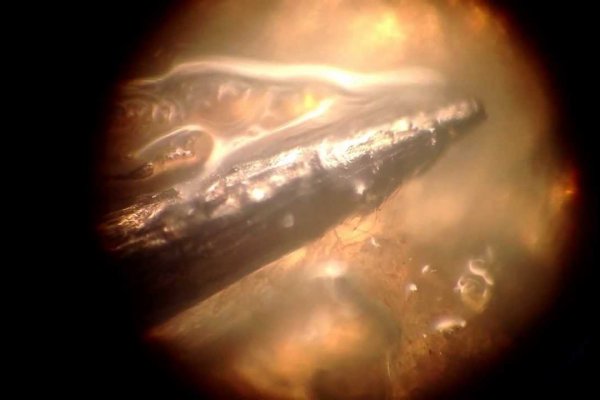 Kra48.cc